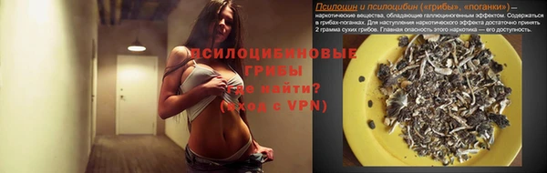 гашик Нефтегорск