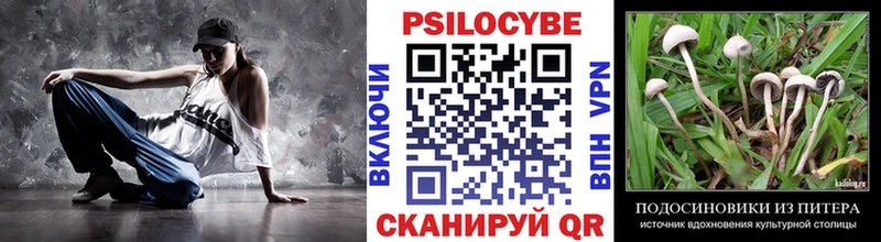 Галлюциногенные грибы мухоморы  где купить наркотик  ОМГ ОМГ сайт  Армавир 