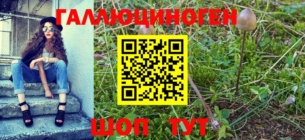 Псилоцибиновые грибы GOLDEN TEACHER  Вход с VPN  Армавир 