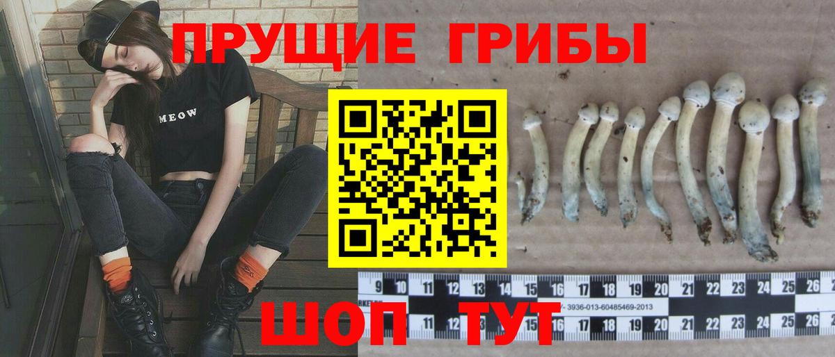 Галлюциногенные грибы прущие грибы Армавир