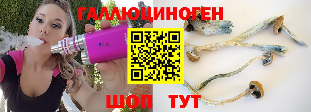 Псилоцибиновые грибы Magic Shrooms  Армавир 